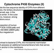 Image result for cytochrom_p 450