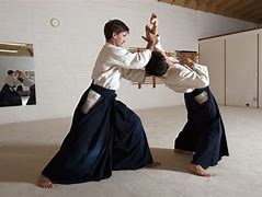 Image result for Japanese Martial Arts Moves