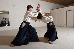 Image result for Akito Martial Arts