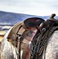 Image result for Saddle and Bridle