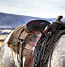 Image result for Italian Horse Saddle