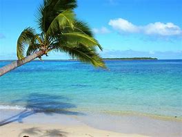 Image result for Beautiful Tonga