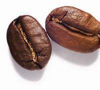 Image result for Coffee Grains