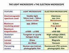 Image result for Microscope Scale