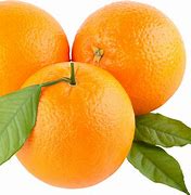 Image result for Orange Fruit and Veg