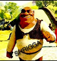 Image result for Shrigga Shrek Memes