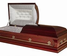 Image result for Coffin Shaped Pillow