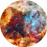 Image result for Galaxy Cheyanne Comparison