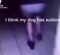 Image result for My Dog Has Autism Deer Basketball Meme