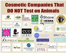 Image result for Anti Animal Testing
