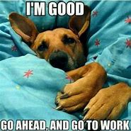 Image result for LOL Funny Animals Dogs