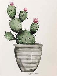 Image result for Watercolor Cactus Drawing