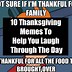 Image result for Me On Thanksgiving Meme