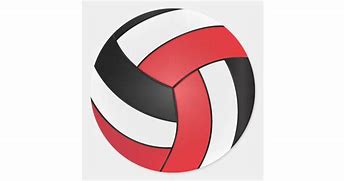 Image result for Red and Black Volleyball