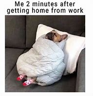 Image result for Funny Tired Work Meme
