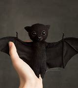 Image result for Bat Toy