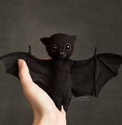 Image result for Kissy Bat Toy