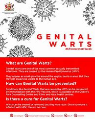 Image result for Genital Wart Identification