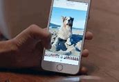 Image result for iPhone 6s Plus Original