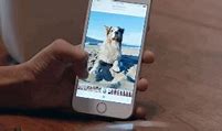 Image result for iPhone 6s Live Camera