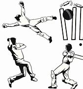 Image result for Cricket Drawing Image Stock Images