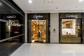 Image result for Cartier Clothing