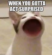 Image result for Acting Surprised Meme
