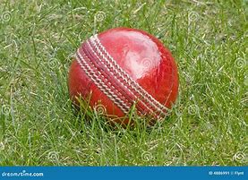 Image result for Cricket Ball On Grass