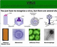 Image result for Virusi Spirala