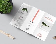 Image result for Tri-Fold Brochure Design Templates Minimal