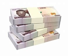 Image result for Nigerian Currency On White Background