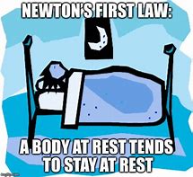 Image result for Newton's Laws Memes