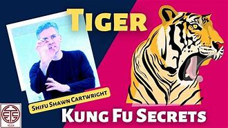 Image result for Tigerstyle Kung Fu Techniques