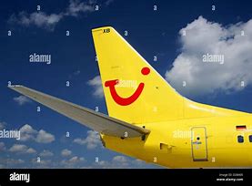 Image result for Tui Boeing 737-800