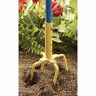 Image result for Garden Claw Gold