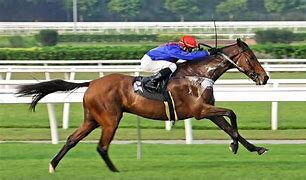 Image result for Jockey Horse Back