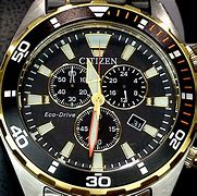 Image result for Citizen Divers Watches