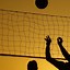 Image result for Cool Volleyball