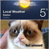 Image result for Ohio Weather Funny