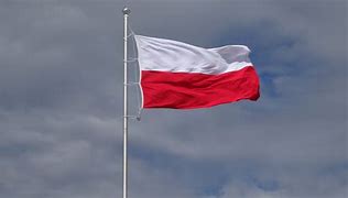 Image result for Warsaw Poland Flag