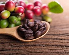 Image result for Caffein and Plant