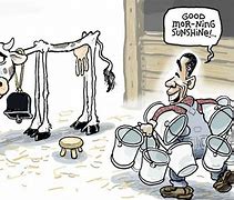 Image result for Cow Drinking Milk Meme