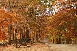 Image result for Gettysburg Fall Foliage