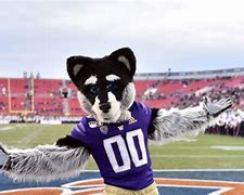 Image result for Washington Huskies Mascot