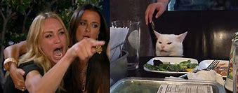 Image result for Woman Yelling at Cat Meme High Resolution