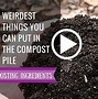 Image result for Compost Ingredients