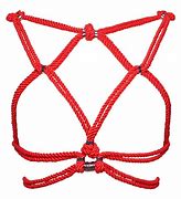 Image result for Harness Hook with Rope
