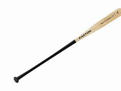 Image result for Fungo Bats