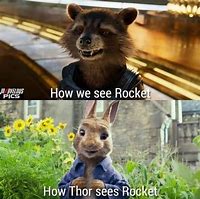 Image result for Avengers Rocket Meme