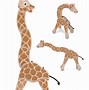 Image result for Organic Baby Toys